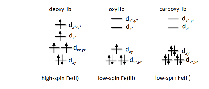 <p>(i) <strong>Deoxyhemoglobin</strong></p><ul><li><p><strong>Oxidation state:</strong> Fe²⁺</p></li><li><p><strong>Spin state:</strong> <strong>High spin (HS, d⁶)</strong></p></li></ul><p></p><p>(ii) <strong>Oxyhemoglobin</strong></p><ul><li><p><strong>Oxidation state:</strong> Fe³⁺ <em>(with O₂⁻ superoxide)</em></p></li><li><p><strong>Spin state:</strong> <strong>Low spin (LS, d⁵)</strong></p></li></ul><p></p><p>(iii) <strong>Carboxyhemoglobin</strong></p><ul><li><p><strong>Oxidation state:</strong> Fe²⁺</p></li><li><p><strong>Spin state:</strong> <strong>Low spin (LS, d</strong></p></li></ul><p></p><p>(c) Highest Mössbauer isomer shift </p><p>Highest isomer shifts is related to higher e- density ( high e- number) meaning lower O.S</p><p>and HS complexes , so Deoxyhemoglobin has the highest isomer shift</p>