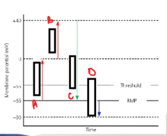 <p>What is D?</p>