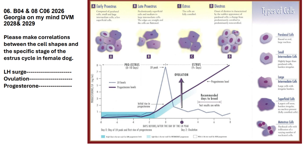 <p>LH surge-----------------------</p><p>Ovulation----------------------</p><p>Progesterone---------------—</p>