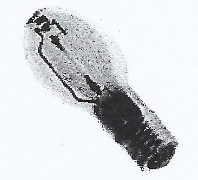 <p>Mercury vapor &amp; other halides to <strong>improve to both their efficacy and their color rendering</strong>. Used are scandium, sodium oxides, dysprosium. For indoor use</p>