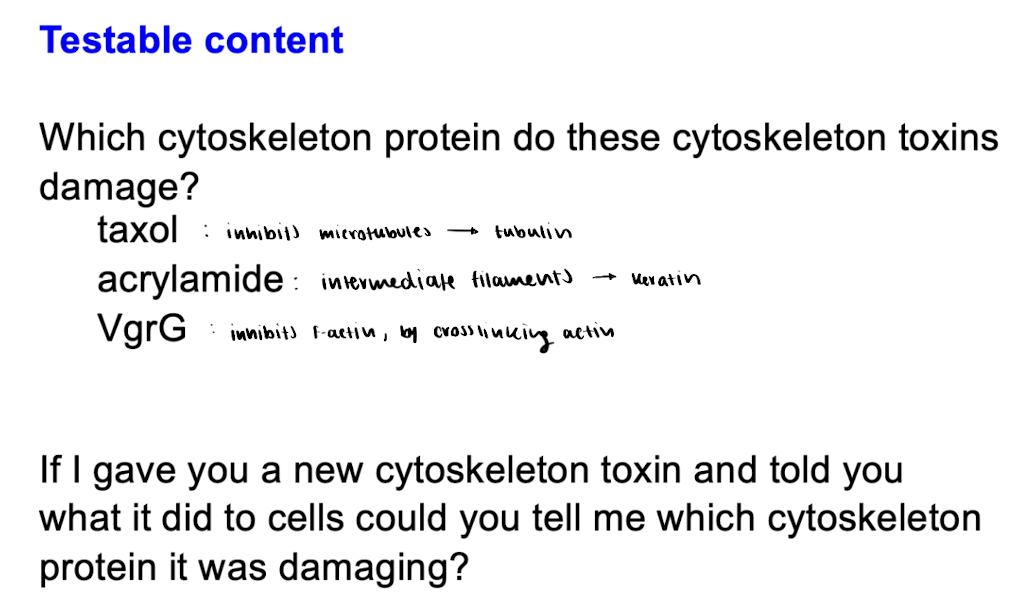 <p>Examinable content </p>