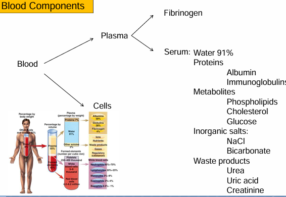 <p>Plasma:</p><ul><li><p>Parte líquida de la sangre sin coagular</p></li><li><p>Contiene;</p><ul><li><p>Agua</p></li><li><p>Sales</p></li><li><p>Glucosa</p></li><li><p>Hormonas</p></li><li><p>Proteínas (incluyendo fibrinógeno)</p></li><li><p>Factores de coagulación</p></li><li><p>Nutrientes</p></li><li><p>Productos de desecho</p></li></ul></li></ul><p>Para obtener plasma:</p><ul><li><p>Se toma sangre con anticoagulante y se centrifuga</p><ul><li><p>Arriba queda el plasma</p></li></ul></li></ul><div data-type="horizontalRule"><hr></div><p>Suero:</p><ul><li><p>Es el plasma sin fibrinógeno ni factores de coagulación activos</p></li></ul><p>Cuándo se obtiene?</p><ul><li><p>Después de que la sangre coagule </p></li></ul><p>Para obtener suero:</p><ol><li><p>Se deja coagular la sangre</p></li><li><p>La fibrina forma una malla y atrapa células</p></li><li><p>Se centrifuga</p></li><li><p>El líquido que queda arriba es suero</p></li></ol><div data-type="horizontalRule"><hr></div><p>Convertir plasma en suero:</p><ul><li><p>Plasma aún tiene fibrinógeno </p></li><li><p>Podemos convertirlo en suero añadiendo trombina</p><ul><li><p>La trombina convierte fibrinógeno en fibrina</p></li><li><p>LA fibrina forma una red</p></li><li><p>Se centrifuga</p></li><li><p>La fibrina queda abajo </p></li><li><p>El líquido resultante es el suero</p></li></ul></li></ul><div data-type="horizontalRule"><hr></div><p>Cómo evitar que la sangre coagule en un tubo de ensayo?</p><ul><li><p>Se añade anticoagulante</p></li><li><p>El más usado en laboratorio es:</p><ul><li><p>EDTA (ácido etilendiaminotetraacético)</p><ul><li><p>Es un secuestrador de calcio</p></li><li><p>El calcio es esencial para casi todos los pasos de la coagulación</p></li><li><p>Si no hay calcio → no hay coagulación</p></li></ul></li></ul></li></ul><p>Por eso la sangre con EDTA no coagula nunca.</p><p></p>