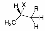 <p>use Newman projection to draw the E2 of this molecule , and what product conformation does it favour</p>