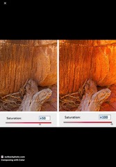 <p>The vivid color intensity shown in the images MOST likely results from increased:</p>