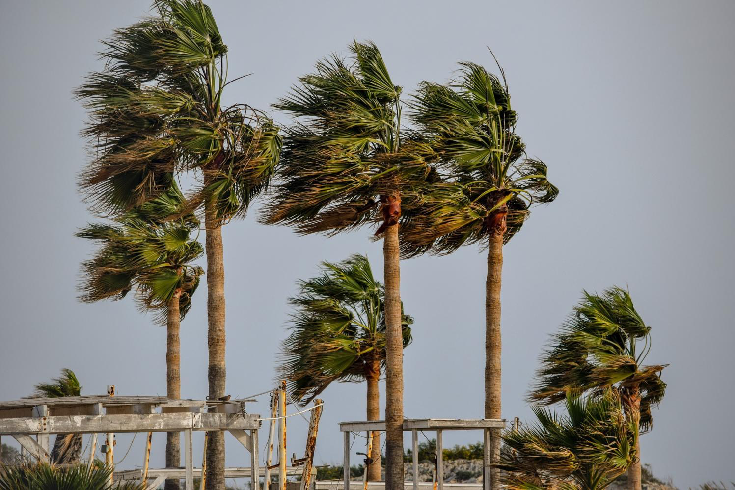 (n) A sudden, strong increase in the speed of the wind.