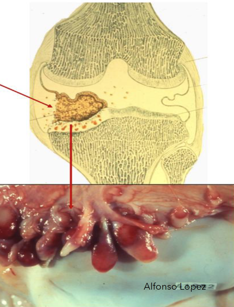 <p>waht is this </p>