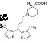 <p>TIAGABINE (GABITRIL)</p><ul><li><p>to inhibit gaba re uptake = transporter</p></li></ul><p></p>