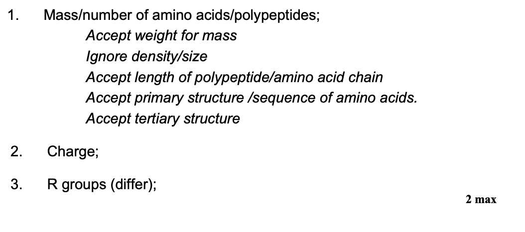 <ul><li><p>mass/no. of AAs/polypeptides</p></li><li><p>charge</p></li><li><p>R groups differ </p></li></ul><p></p>