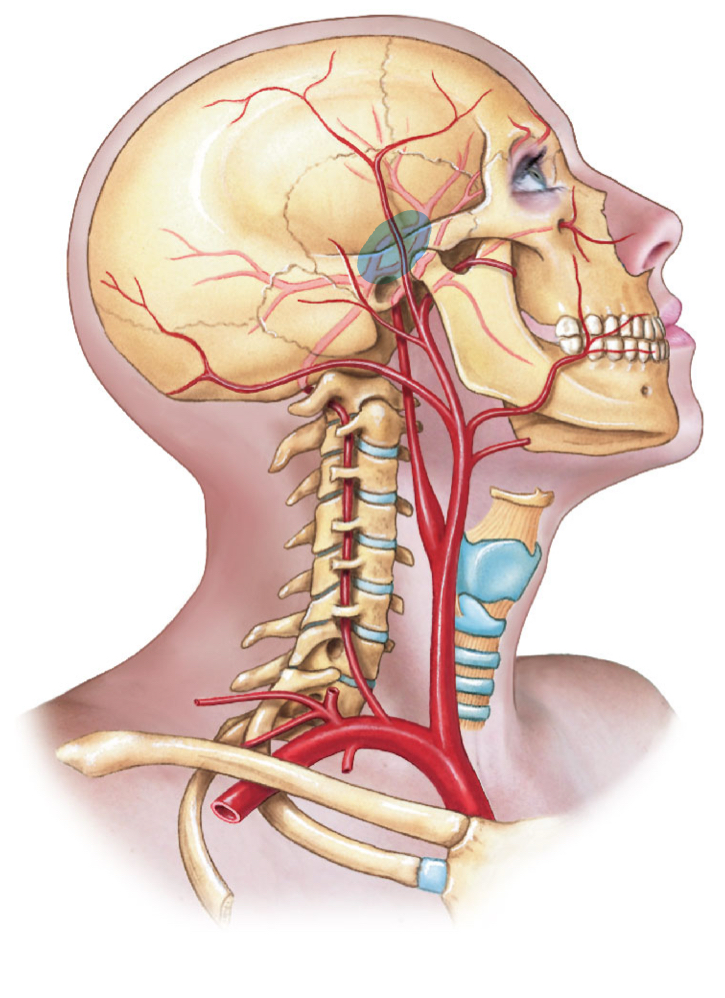 <p>diagrams </p>