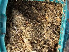 <p>material made up of decaying bits of plant and animal material</p>