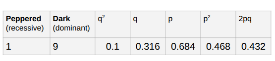 <p>p<sup>2</sup> + 2pq + q<sup>2</sup> = 1.0</p><p>(p + q = 1.0)</p><p>Used to compare the observed vs expected genotype frequencies of a population. If the observed &amp; expected frequencies match, the population is in equilibrium (no evolution) and vice versa (example of calculation attached)</p>