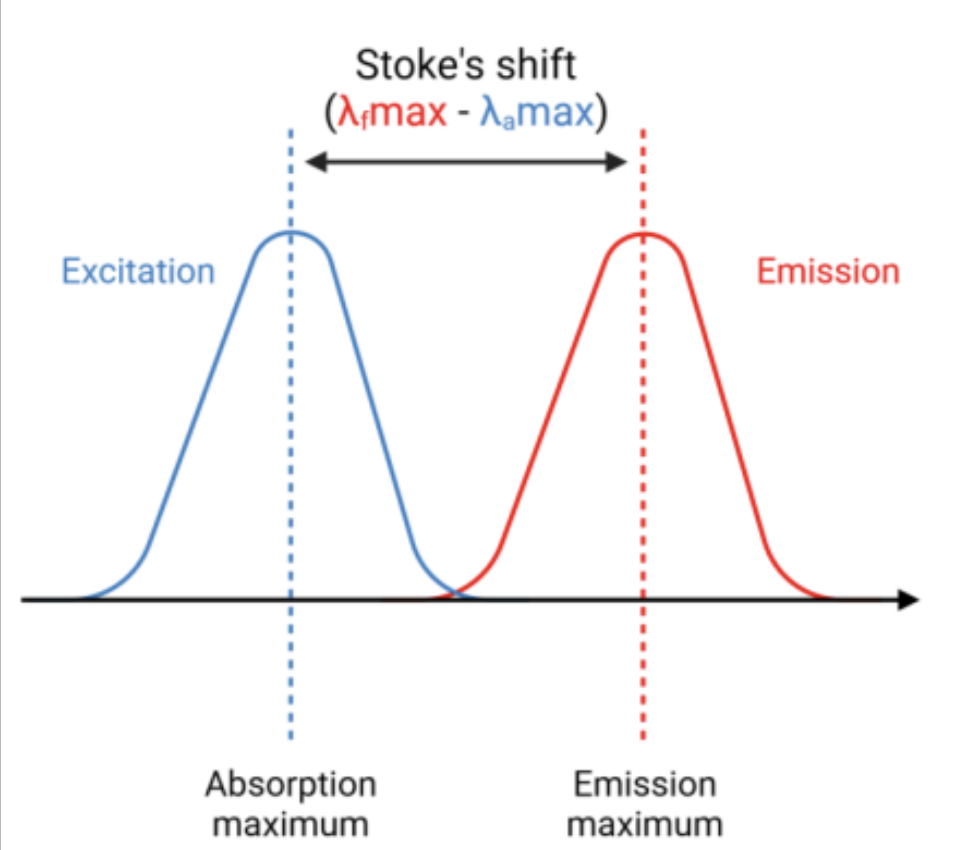 <p>What is the Stokes shift?</p>
