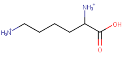 <p>H3N+ + NH3+ + OH=O</p>