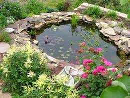 <p>ornamental pond</p>