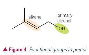 <p>functional groups of prenol relating to its properties and reactions:</p>