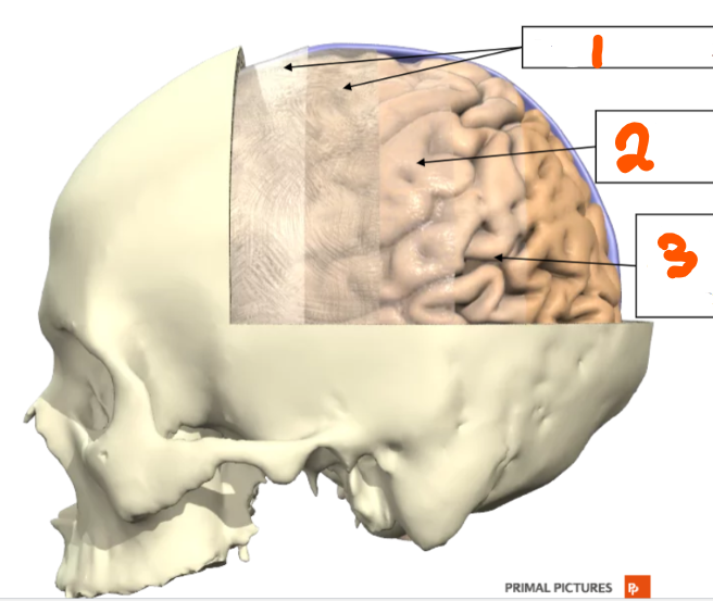 <p>1</p>