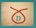 <p>what is D (2) (Large Animal Knots and Ropes)</p>