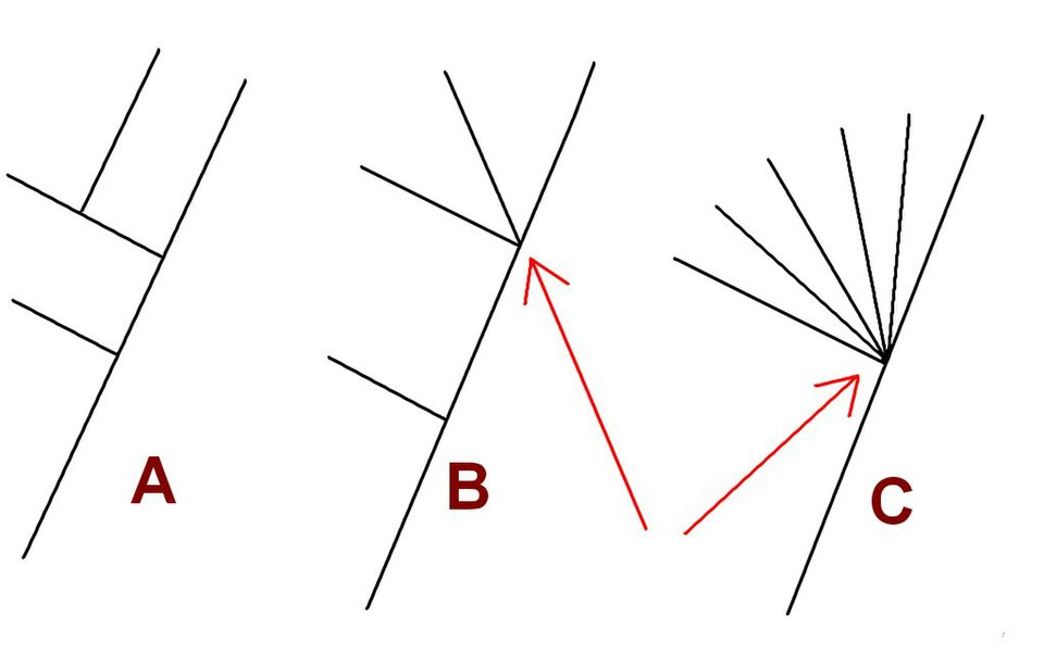 <p>more than two descendant species from single node</p>