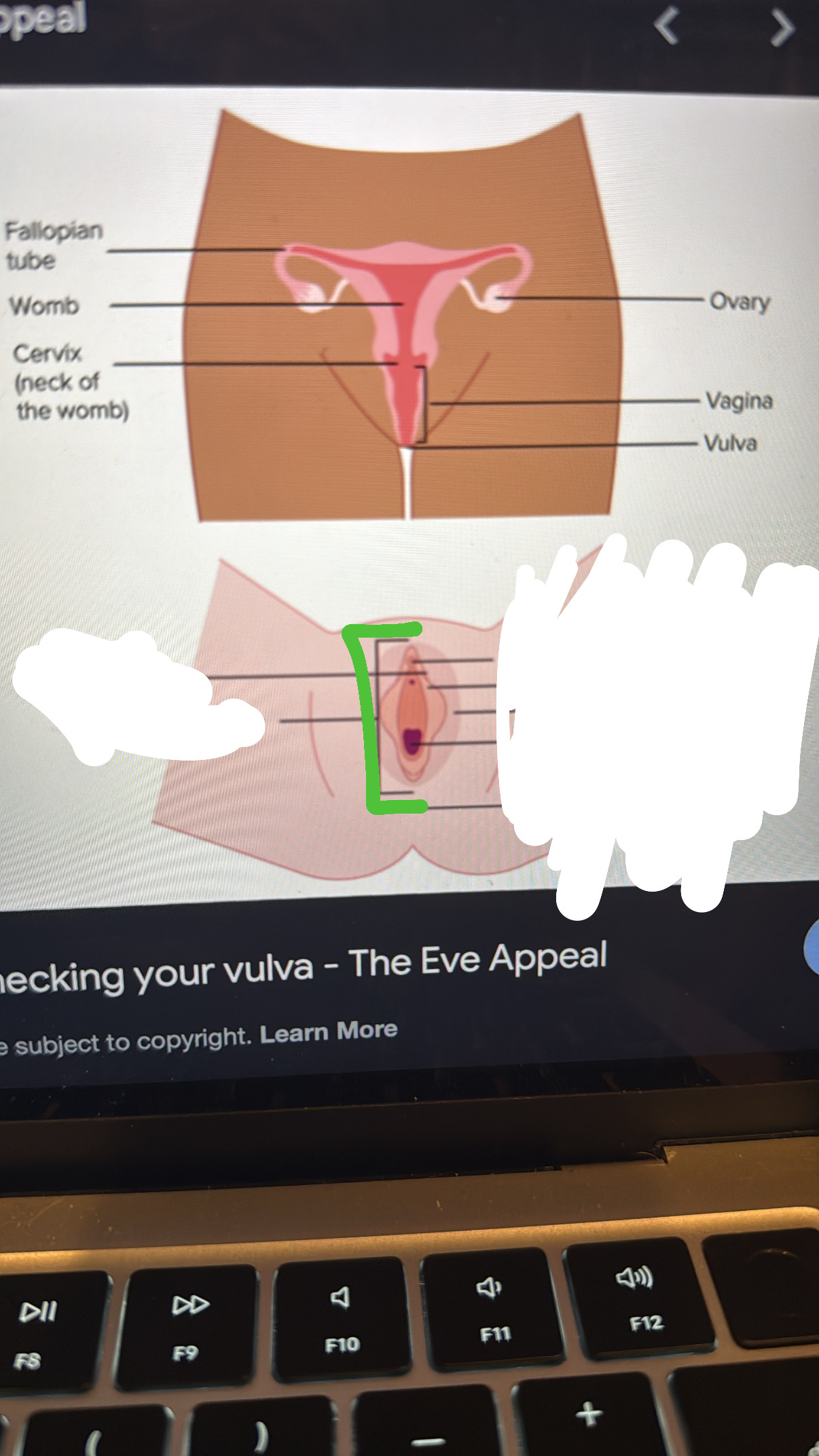 <p>outside of vagina, out of the body</p>