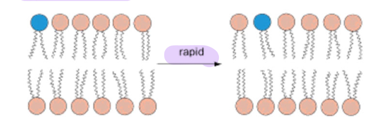 <p>This is an example of: </p>