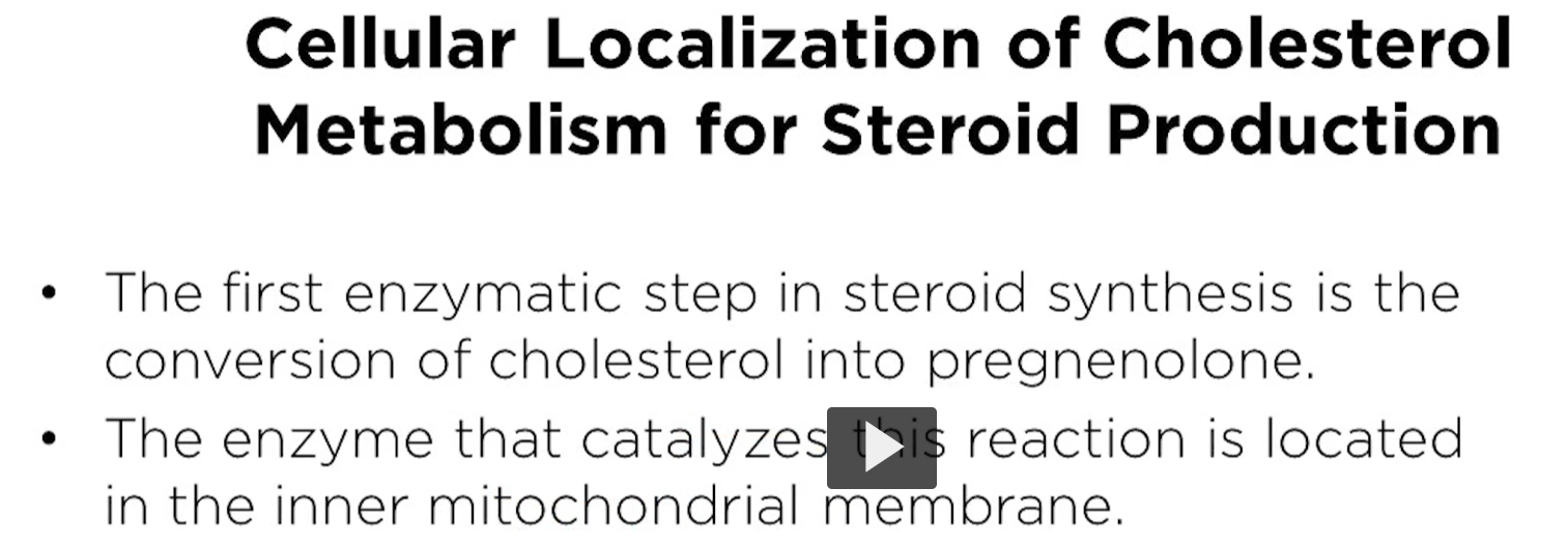 <p><u>cellular localization of cholesterol metabolism for steroid production</u></p><p>in steroid biosynthesis, the first enzymatic step is conversion of cholesterol into pregnenolone. This is regardless of which steroid is being made. </p><p>The enzyme is in the inner mitochondrial membrane. </p>