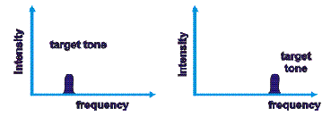 <ul><li><p>Detecting a target tone in the presence of another (masking) tone</p></li><li><p>Vary intensity of masking tone until the target disappears/reappears → threshold</p></li></ul><p></p>