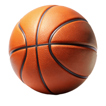 <p>The curved line on each end of the court</p>