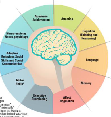 <p><span style="color: rgb(255, 255, 255);">Severe impairment (greater than 2 SD from<br>mean) in at least three of these domains<br>Assessed through cognitive battery:<br>- Wechsler Intelligence Scale for Children<br>V/Wechsler Adult Intelligence Scale IV<br>- Wechsler Individual Achievement test<br>- Wide Range Assessment of Memory and<br>Learning or Wechsler Memory Scale<br>- Delis-Kaplan Executive Functioning<br>System<br>- Adaptive Behaviour Assessment System 3</span></p>