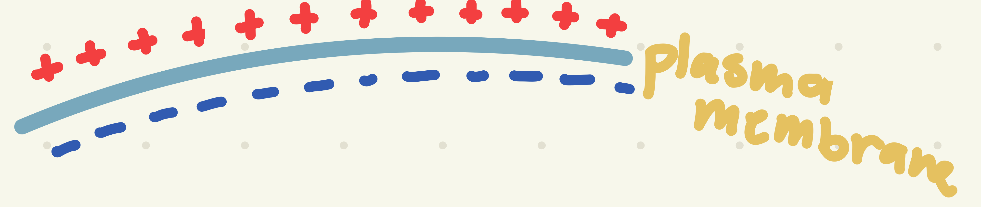<p>Membrane Potential</p>