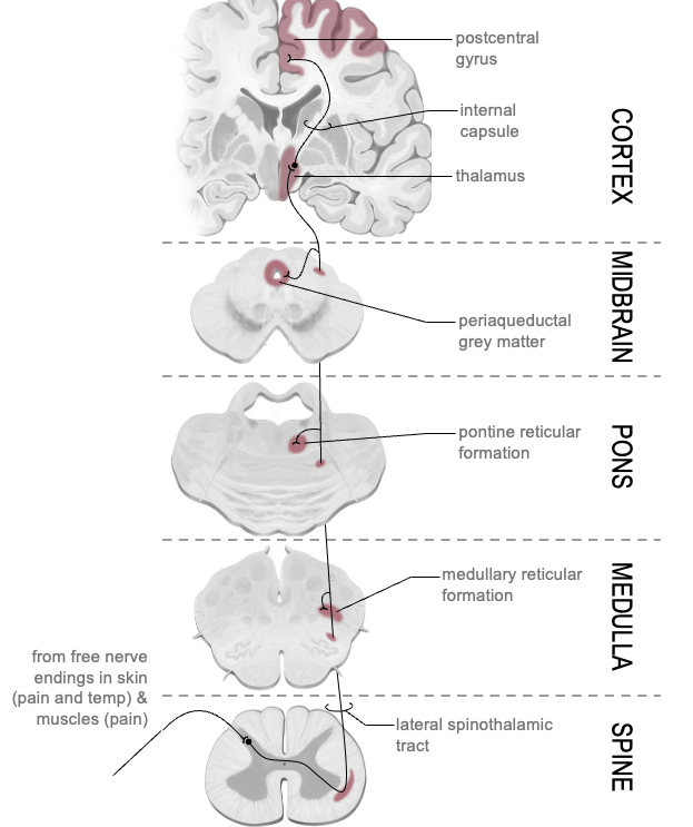 <p>[Image]</p>