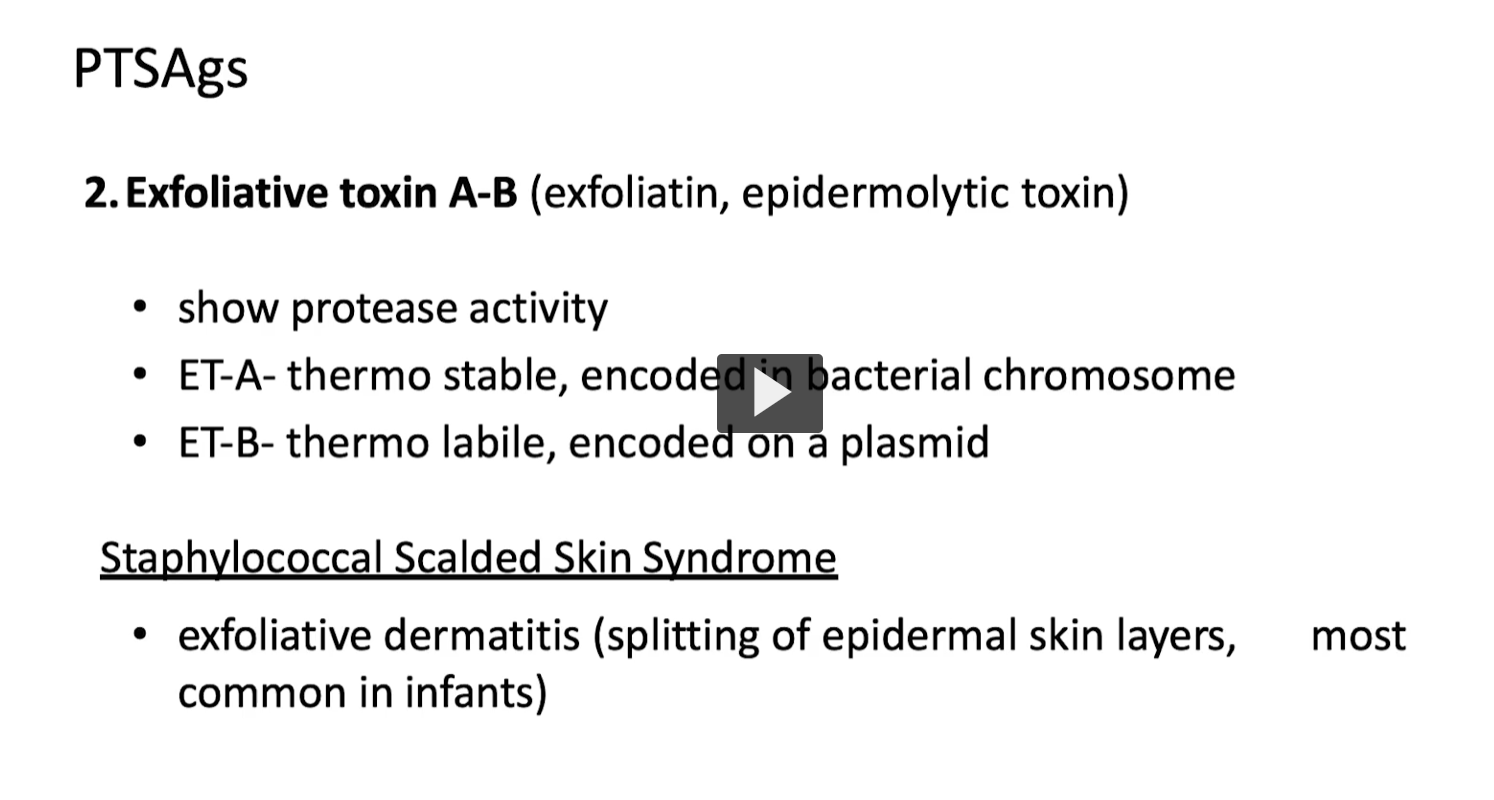 <p><strong>Exfoliative</strong></p><ul><li><p><strong>“ex-”</strong> = out / away</p></li><li><p><strong>“folium” (Latin)</strong> = leaf</p></li></ul><p><span data-name="point_right" data-type="emoji">👉</span> <strong>Exfoliate = “to peel off like leaves”</strong></p><div data-type="horizontalRule"><hr></div><p><strong>2. Toxin</strong></p><ul><li><p>From Greek <em>toxikon</em> = <strong>poison</strong></p></li></ul><div data-type="horizontalRule"><hr></div><p><strong>3. Exfoliatin / Epidermolytic</strong></p><ul><li><p><strong>“epidermo-”</strong> = epidermis (outer skin layer)</p></li><li><p><strong>“-lytic”</strong> = breaking</p></li></ul><p><span data-name="point_right" data-type="emoji">👉</span> <strong>Epidermolytic toxin = “breaks the outer skin layer”</strong></p><div data-type="horizontalRule"><hr></div><p><strong>Definition</strong></p><p><strong>Exfoliative toxin (A &amp; B)</strong> is an <strong>exotoxin</strong> produced by <em>Staphylococcus aureus</em> that:</p><p><span data-name="point_right" data-type="emoji">👉</span> <strong>Acts as a protease</strong> to:</p><ul><li><p><strong>Break down proteins that hold skin cells together</strong></p></li></ul><div data-type="horizontalRule"><hr></div><p><span data-name="microscope" data-type="emoji">🔬</span> <strong>Mechanism (HIGH-YIELD)</strong></p><ul><li><p>Targets <strong>desmoglein-1</strong> (cell adhesion protein in epidermis)</p></li><li><p>Causes:</p><ul><li><p><strong>Separation of epidermal layers</strong></p></li><li><p>Skin cells lose attachment → <strong>peeling</strong></p></li></ul></li></ul><p></p><p><span data-name="point_right" data-type="emoji">👉</span> Think:<br><strong>“cuts the glue between skin cells”</strong></p><div data-type="horizontalRule"><hr></div><p><span data-name="warning" data-type="emoji">⚠</span> <strong>Types (from your slide)</strong></p><ul><li><p><strong>ET-A</strong></p><ul><li><p>Heat (<strong>thermo</strong>) stable</p></li><li><p>Chromosome-encoded</p></li></ul></li><li><p><strong>ET-B</strong></p><ul><li><p>Heat labile</p></li><li><p>Plasmid-encoded</p></li></ul></li></ul><div data-type="horizontalRule"><hr></div><p><span data-name="stethoscope" data-type="emoji">🩺</span> <strong>Clinical Effect</strong> <strong>Staphylococcal Scalded Skin Syndrome (SSSS)</strong></p><ul><li><p>Skin looks like it’s been <strong>burned/scalded</strong></p></li><li><p>Features:</p><ul><li><p><strong>Blistering</strong></p></li><li><p><strong>Peeling (exfoliation)</strong></p></li><li><p>Positive <strong>Nikolsky sign</strong> (skin slips off easily)</p></li></ul></li><li><p>Most common in:</p><ul><li><p><strong>Infants</strong></p></li></ul></li></ul><p></p>