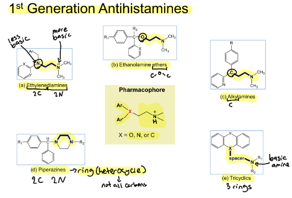 <p><span style="background-color: transparent;"><strong><u>Histamine</u></strong></span></p><ul><li><p><span style="background-color: transparent;"><strong>Structure</strong></span></p><ul><li><p><span style="background-color: transparent;"><strong>______</strong></span></p></li><li><p><span style="background-color: transparent;"><strong>______ amine</strong> → <strong>______</strong> amine → needs <strong>______</strong></span></p></li><li><p><span style="background-color: transparent;"><strong>______ bonds between the ring and side chain allow free rotation</strong></span></p></li></ul></li><li><p><span style="background-color: transparent;">The <strong>______</strong> is sufficient for <strong>______ activity</strong></span></p></li></ul><p></p>