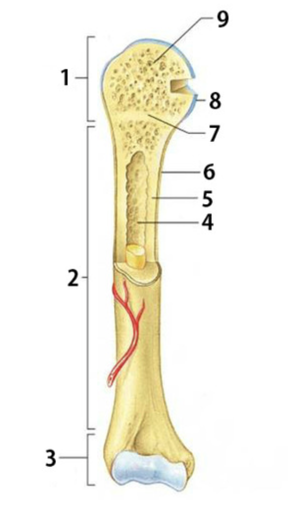 <p>Label 7</p>