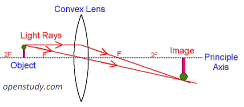 <ul><li><p>focus light inwards</p></li><li><p>have virtual or real images (appear to be on same or opposite side as the real object)</p></li><li><p>used for magnifying glasses, binoculars </p></li><li><p>used to correct long sightedness as it focuses the rays closer </p></li><li><p>represented with arrows pointing outwards </p></li></ul><p></p>