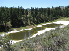 <p>More common than biogenic meromixis bc no specific conditions </p><ul><li><p><span>Almost always because of strong salinity differences</span></p><ul><li><p><span>Usually in arid areas where water is concentrated by evaporation</span></p></li></ul></li></ul><p></p>