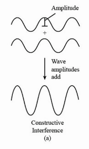<p>overall field strength has increased (the two wave points get added together)</p>