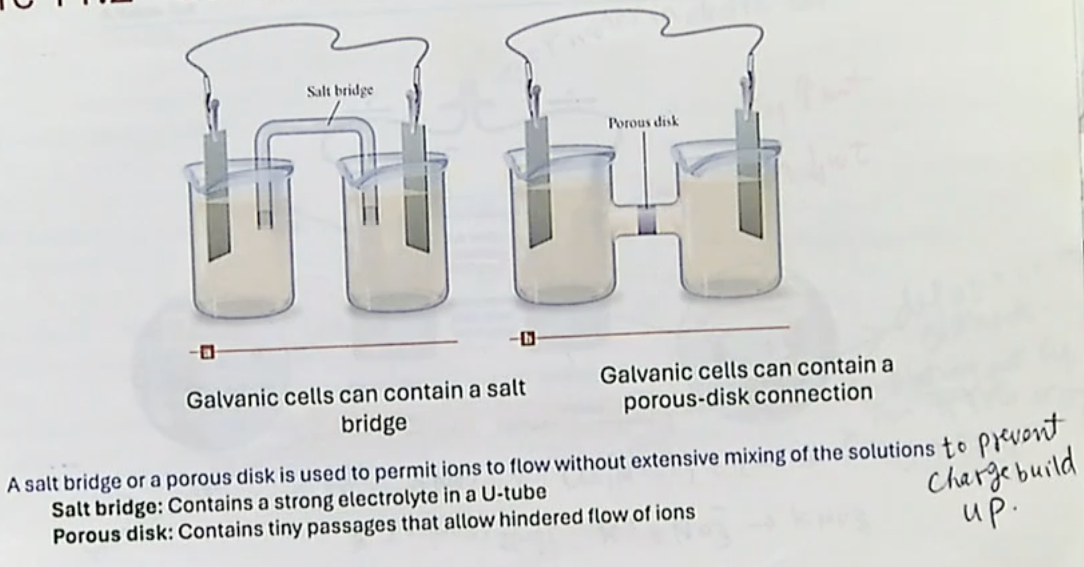 <p>differences:</p><img src="https://assets.knowt.com/user-attachments/7b5a9c9b-006c-4628-ad76-e0561491882c.png" data-width="100%" data-align="center"><p></p>