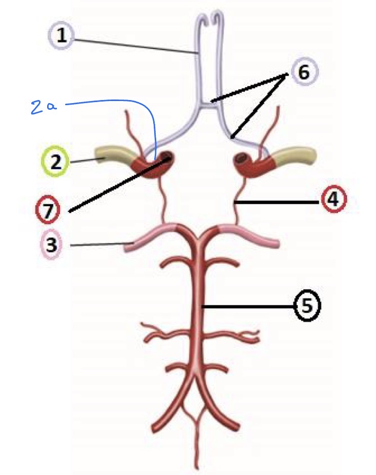 <p>What is 5?</p>