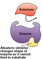 <p>the mechanism for inhibiting enzyme action in which a regulatory molecule binds to a second site (not the active site) and initiates a conformation change in the active site, preventing binding with the substrate</p>