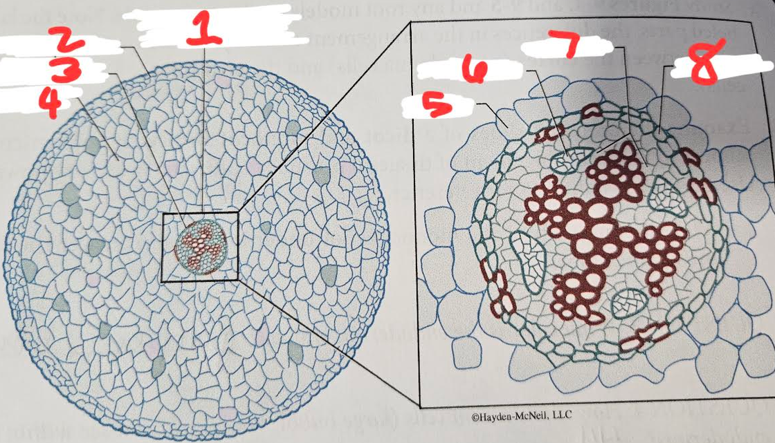 <p>1</p>