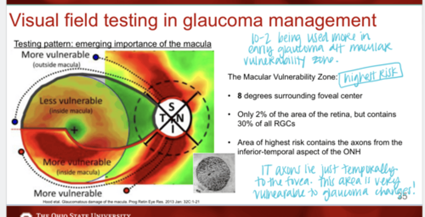 <p>The macular vulnerability zone contains the axons from the ______ aspect of the ONH</p>