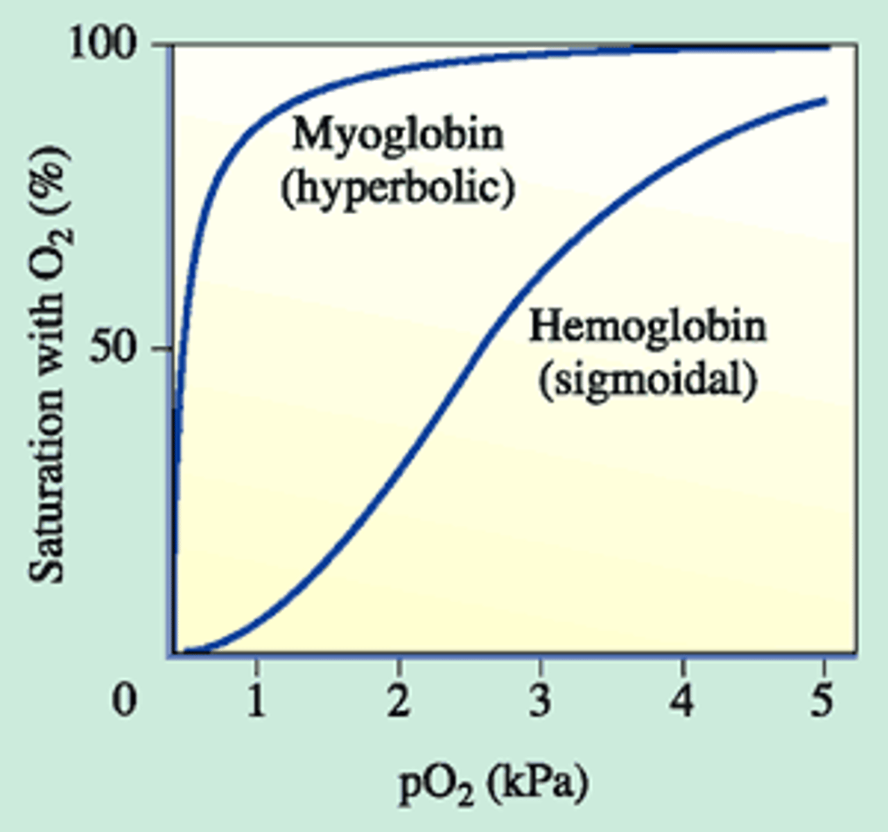<p>hyperbolic</p><p>(steep!)</p>