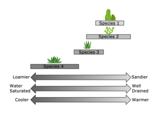 <p>To minimize competition, what specific soil conditions does 'Species 2' (from the provided graph) prefer?</p>