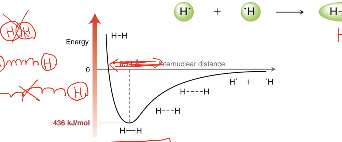 <p>What does the Y axis of the H-H graph represent?</p>