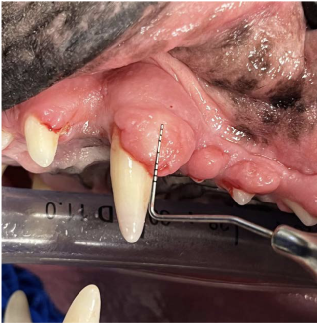 <p><span style="background-color: transparent;">What is this? (also, what sequelae can occur? How is it treated?)</span></p>