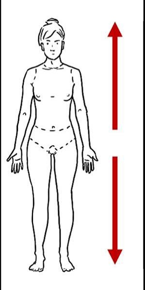 <p>Name the directional term that is relatively closer to the top of the head?</p>