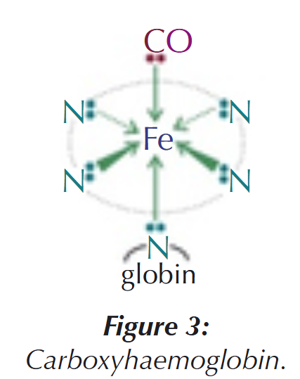 <ul><li><p>CO also co-ordinately bonds to Fe<sup>2+</sup> &amp; is a better ligand, so bonds more strongly than O<sub>2</sub></p></li><li><p>This stops O<sub>2 </sub>from bonding to haemoglobin, so O<sub>2</sub> cannot be transported around the body</p></li></ul><p></p>