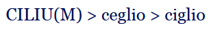 term image