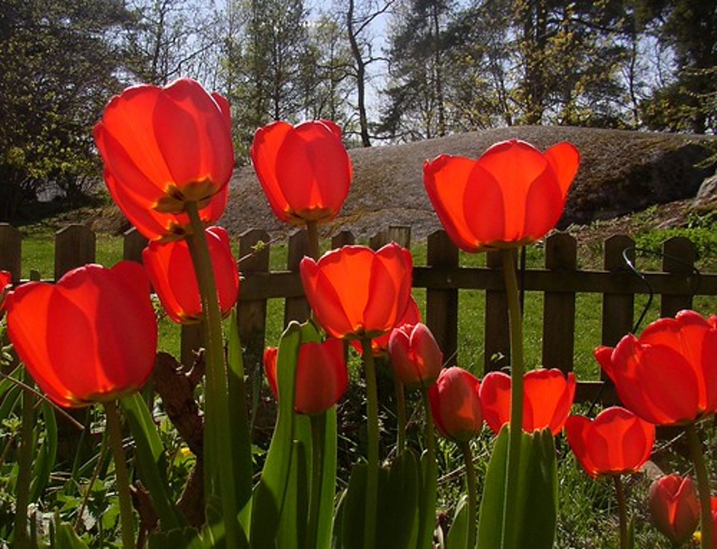 <p>April</p>