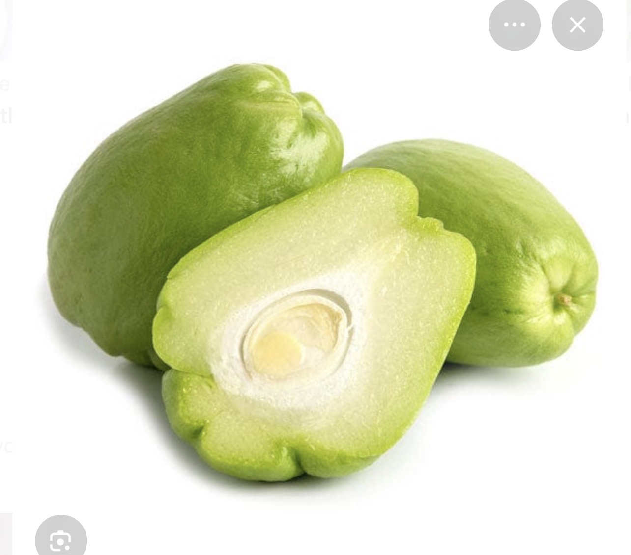 <p>Chayote</p>